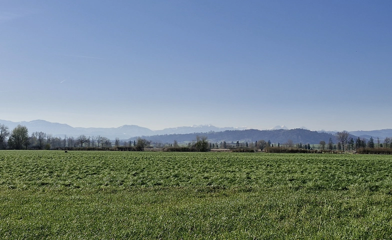 NVVT Herbstexkursion zum Wauwilermoos