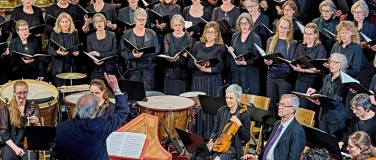 Event-Image for 'Bach Ensemble Luzern: Bach und Zelenka'