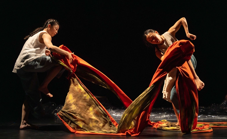 Event-Image for 'Bare Feet Dance Theatre, Lingering'