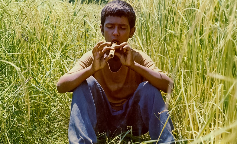 Bashu, the Little Stranger