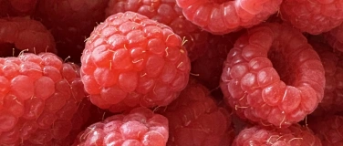 Event-Image for 'Leckereien mit Beeren- Marmelade, Eis und mehr'