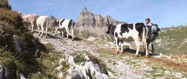 Event-Image for 'Film: BERGAUF, BERGAB'