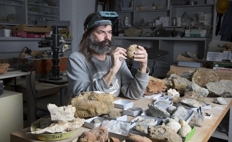 Event-Image for 'F&uuml;hrungen hinter die Kulissen: Die sch&ouml;nsten Fossilien'