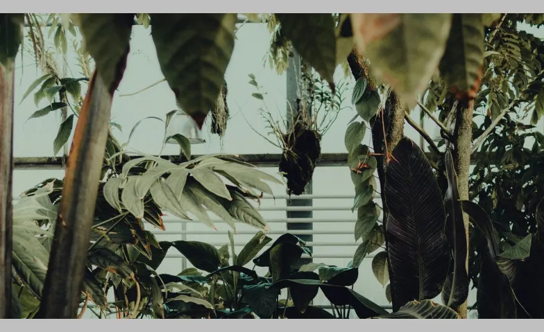 Besuch im &laquo;Paradiesgarten&raquo; Botanischer Garten, Stephanshornstrasse 4, 9016 St. Gallen Tickets