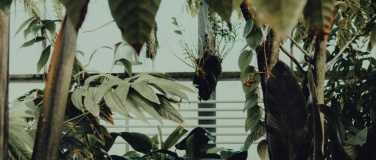 Event-Image for 'Besuch im &laquo;Paradiesgarten&raquo;'