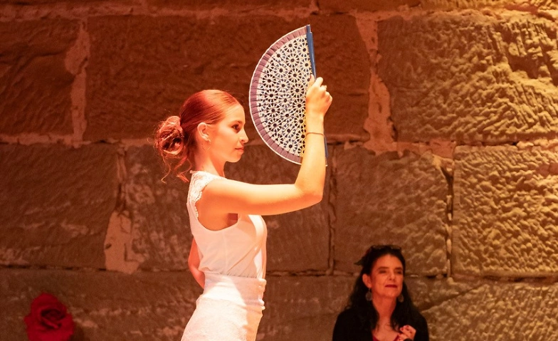 Flamenco Studio Manuela Fiesta Flamenca