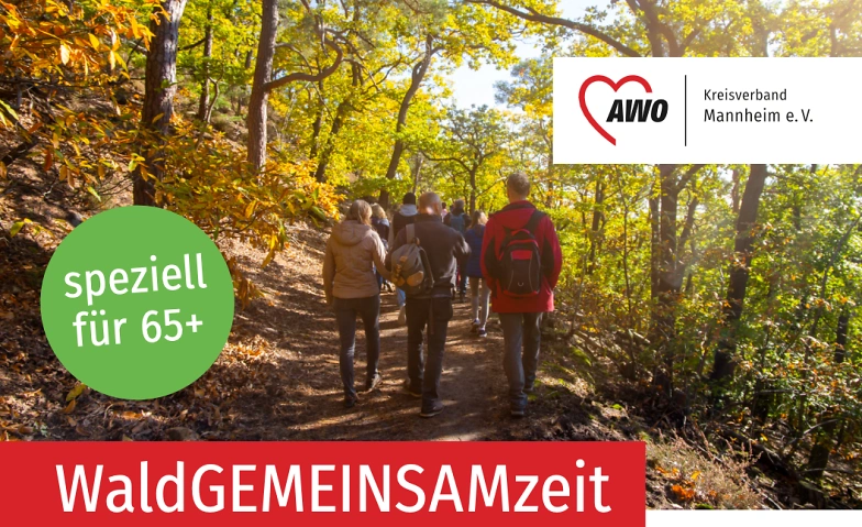 Event-Image for 'WaldGEMEINSAMZeit &ndash; gemeinsam Wald erleben'