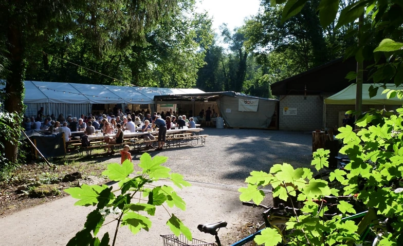 Event-Image for 'Fischessen Gebenstorf'