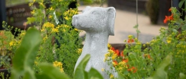 Event-Image for 'Seminar: Der Darm als Zentrum der Gesundheit beim Hund'