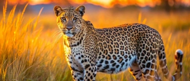 Event-Image for 'Infoabend - Namibia, Botswana & Simbabwe erleben'