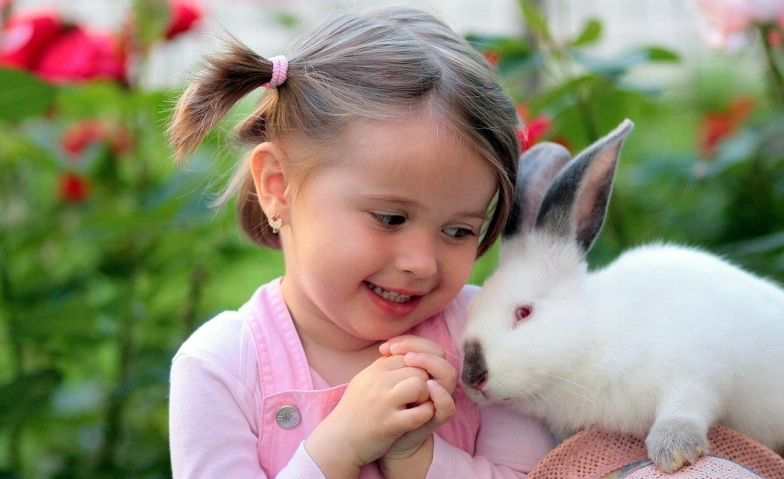 Familiengruppe "Kleine H&auml;schen" Kids&co Familienzentrum Hinterbr&uuml;hl, Obere Bachgasse 1, 2371 Hinterbr&uuml;hl Tickets