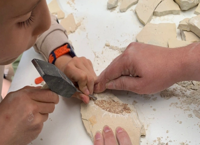 SteinBruchTage Sauriermuseum Aathal, Z&uuml;richstrasse 69, 8607 Seegr&auml;ben Billets