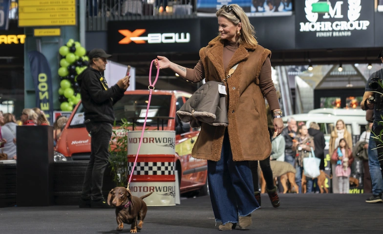 Event-Image for 'DogWorld M&uuml;nchen 2026 &ndash; Das gro&szlig;e Hunde-Event in der Motorwo'