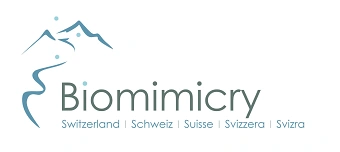 Organisateur de A Biomimicry Experience at ZHAW - Nature-inspired thinking
