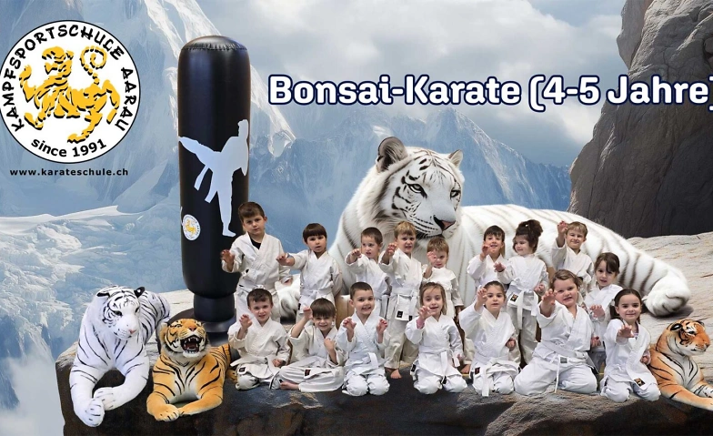 Probetraining  Bonsai-Karate Aarau (4-5 Jahre) Billets