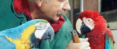 Event-Image for 'FILMABEND &laquo;HAP GRIESHABER&raquo;'