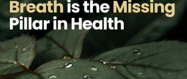 Event-Image for 'Breath is the Missing Pillar in Health'