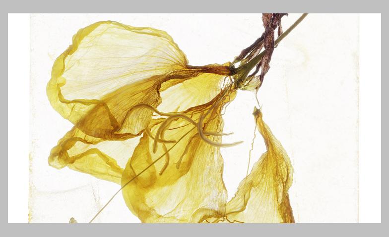 Brigitte Lustenberger. A Gaze of One’s Own