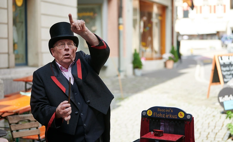 Zauberer Buccini - F&agrave;rbifestival Tickets