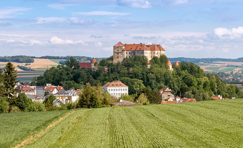 Burg Neulengbach - Geschichtliche F&uuml;hrung Burg Neulengbach Billets