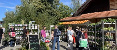 Event-Image for 'Herbstpflanzenmarkt Burgrain'
