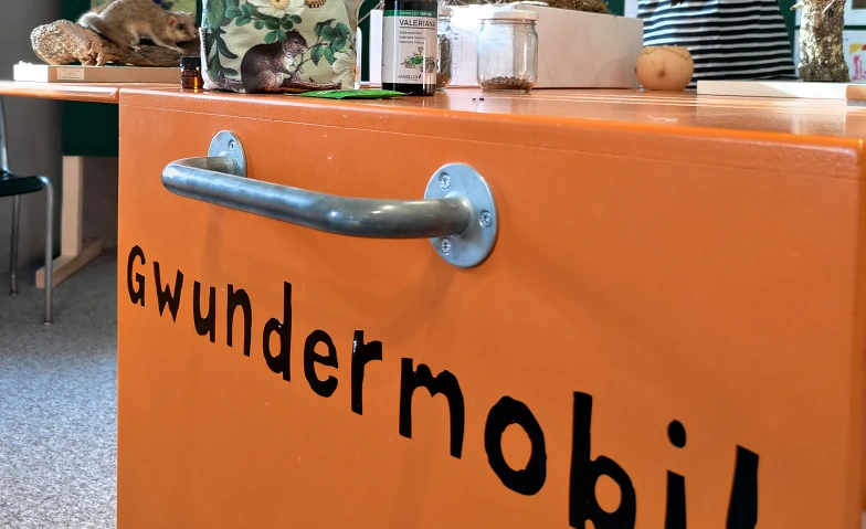 Event-Image for 'Gwunderstunde: Ausgraben'