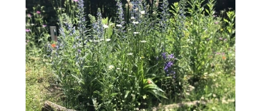 Event-Image for 'Caf&eacute; Vegan mit Wildkr&auml;uter-Teeparty'