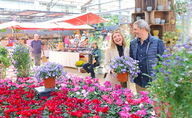 Event-Image for 'Meiers Herbstm&auml;rt'
