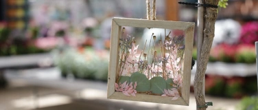 Event-Image for 'Kinderatelier: Bilder aus Trockenblumen'