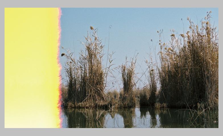Cécile Hummel - Doppel-Blinzeln