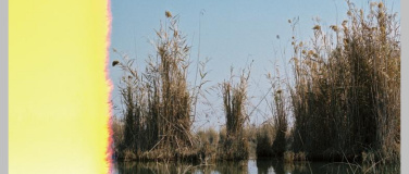 Event-Image for 'C&eacute;cile Hummel - Doppel-Blinzeln'