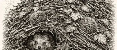 Event-Image for 'Gr&uuml;ngut-Kurs K&uuml;ttigen (kostenlos)'