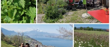 Event-Image for 'Kr&auml;uterwanderung am Fusse der Rigi'