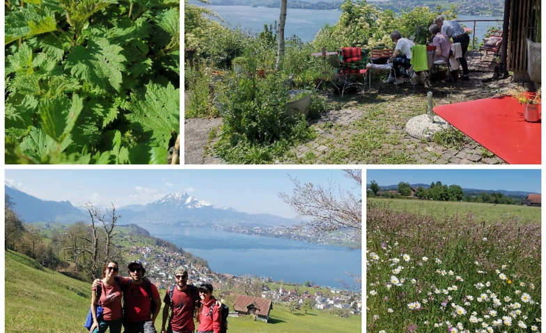 Event-Image for 'Kr&auml;uterwanderung am Fusse der Rigi'
