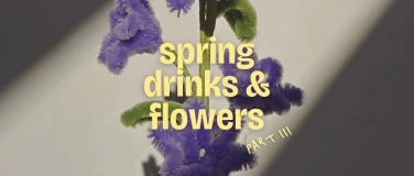 Event-Image for 'Spring Drinks & Flowers 3'