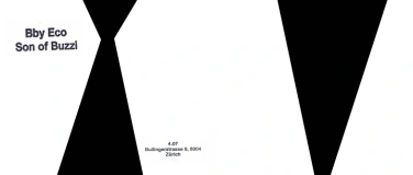 Event-Image for 'ConcertSeries1: Bbyeco & Son of Buzzi'