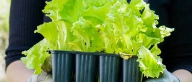Event-Image for 'Euer Naturgarten: TecLab-Familienevent'