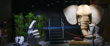 Event-Image for 'Theaterfest: VORHANG AUF UND B&Uuml;HNE FREI'