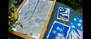 Event-Image for 'Cyanotypie-Workshop im Floragarten'
