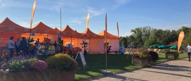 Event-Image for 'DAK-Gesundheitswelt'
