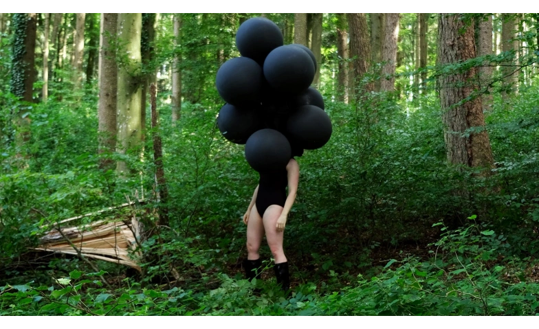 Event-Image for 'Das Surren tr&auml;gt Hufe &ndash; Soloshow Myriam G&auml;mperli'