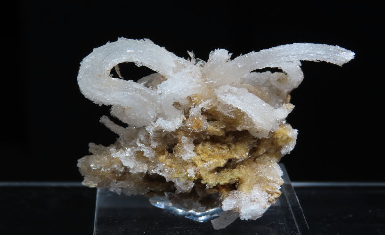 Mineralientage D&uuml;sseldorf Billets