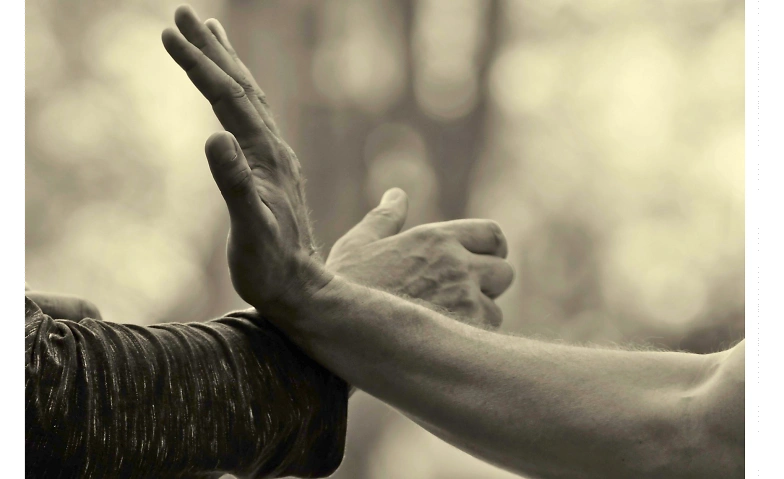 Event-Image for 'Der Tanz der Energien, Tai Chi/ Kung Fu'
