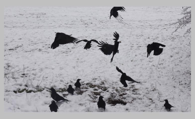 Die leisen Unterschiede