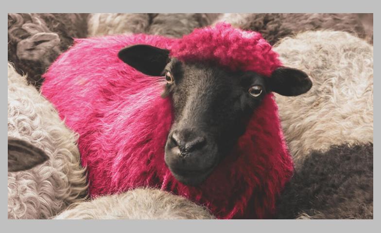 Event-Image for 'DJ Ahmet'