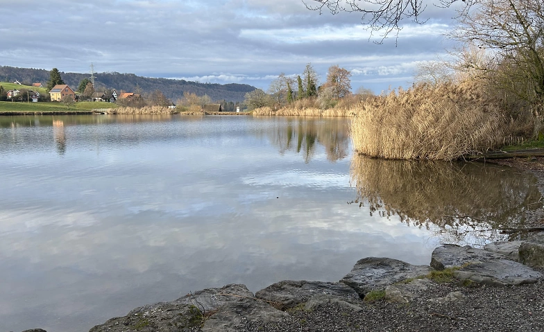 Wanderung Adliswil - Horgenberg
