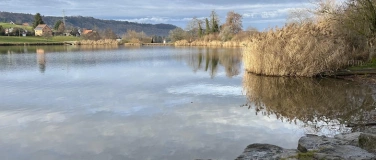 Event-Image for 'Wanderung Adliswil - Horgenberg'