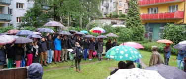 Event-Image for 'HOFgesang  -  Singsation'