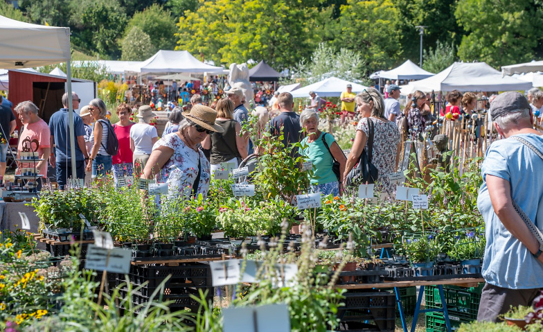 Event-Image for '16. Gartenmarkt "Sommer-Bl&uuml;ten-Tr&auml;ume"'