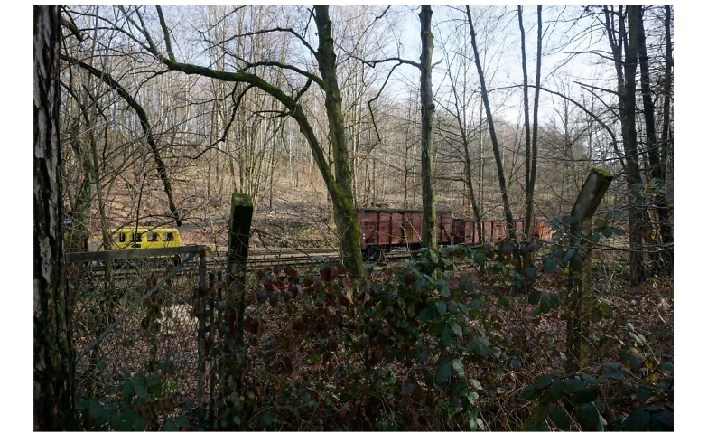 Wanderung zum Feldbahnmuseum in der Herrenleite bei Lohmen.